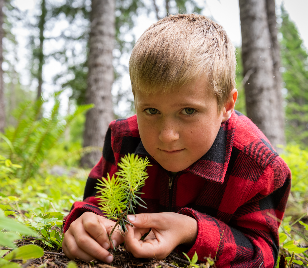 Boy with seedling