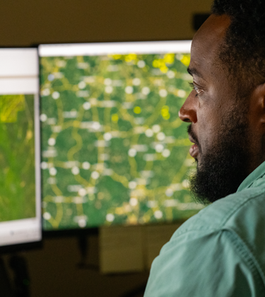 Man looking at computers screens of forests