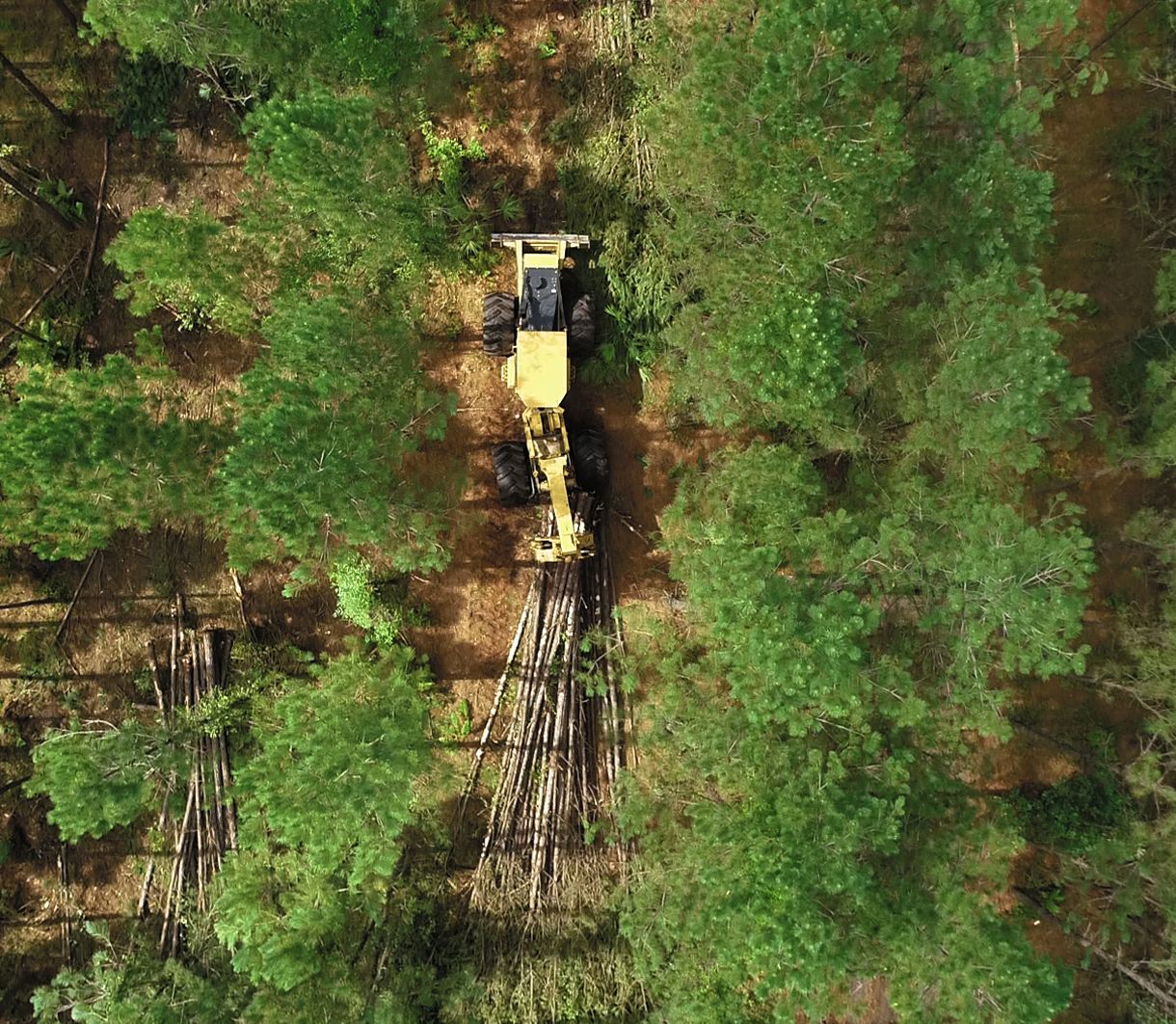 Machinery thinning trees