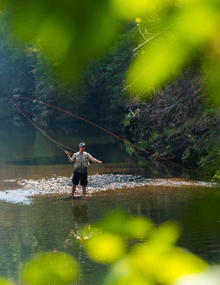 Complementary and uses