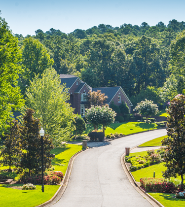 Houses in a housing development